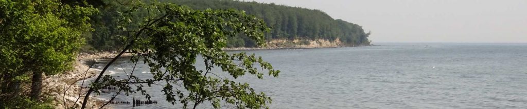 Dänemarktour - Hasselø Plantage-Svensmarke