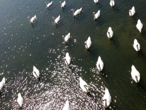 Elsass-Rhein-Tour