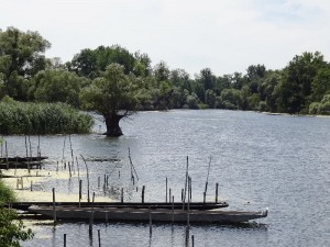 Elsass-Rhein-Tour