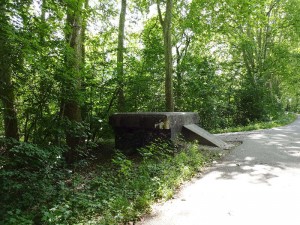 Elsass-Rhein-Tour