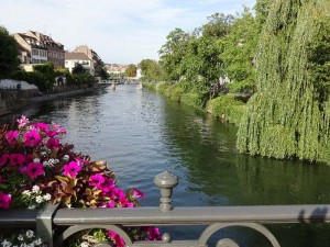 Elsass-Rhein-Tour