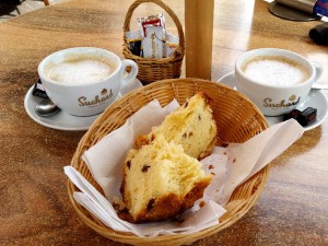 Elsass-Rhein-Tour