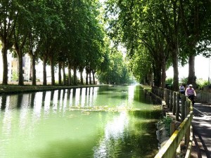 Elsass-Rhein-Tour
