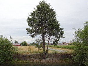 Elsass-Rhein-Tour