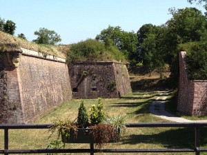 Elsass-Rhein-Tour