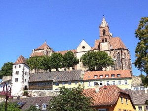 Elsass-Rhein-Tour