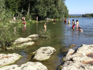 Elsass-Rhein-Tour