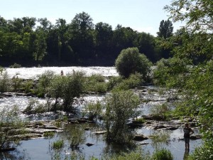 Elsass-Rhein-Tour